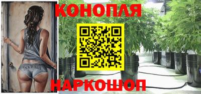 МДПВ Заводоуковск