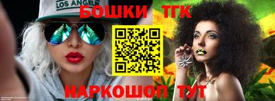 индика Жуковский
