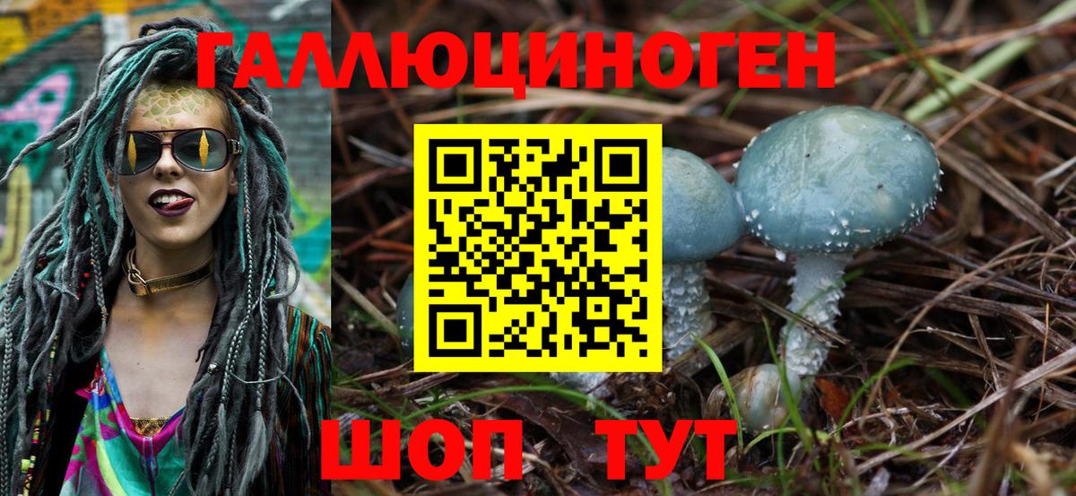 Галлюциногенные грибы Magic Shrooms  Галлюциногенные грибы Cubensis  где можно купить   Бутурлиновка  Вход с VPN 