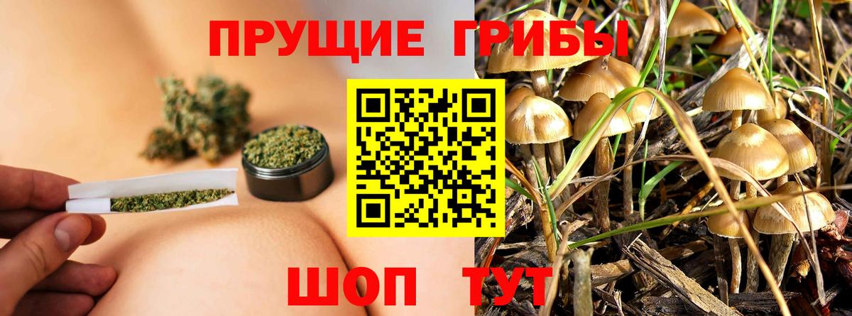 Галлюциногенные грибы ЛСД Бутурлиновка